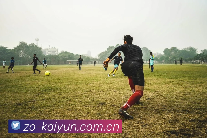 开云·体育(Kaiyun)官方网站_KAIYUN SPORTS App界面